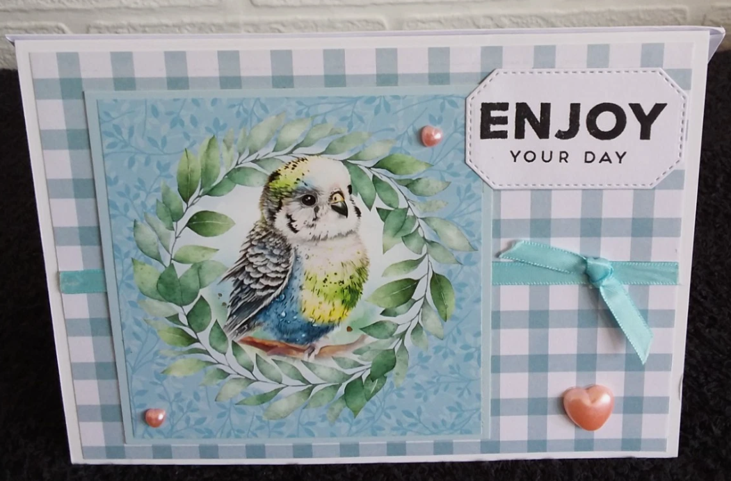 birthday-handmade budgie card 4- 5"x 7"